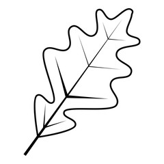 Leaf icon. Outline illustration of leaf vector icon for web