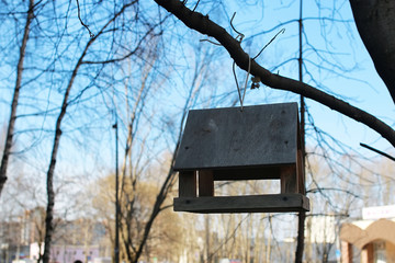 feeding trough for birds on a tree