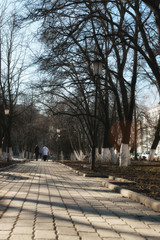bench in spring park