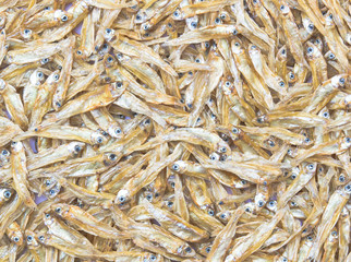 Closeup shot group of small dried fish.