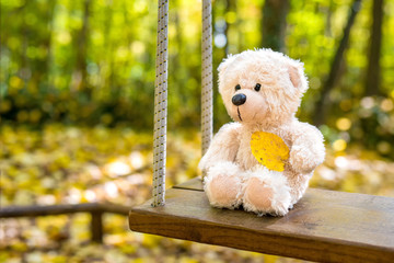 teddy bear swinging in the autumn park - selective focus, copy space