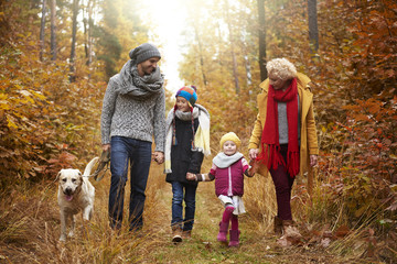 Family walking across the forest.