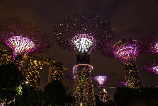 Garden Rhapsody Light Show - Gardens by the Bay, Singapore
