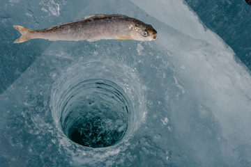Winter fishing on the lake.