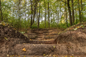 Stairs dug earth in forest