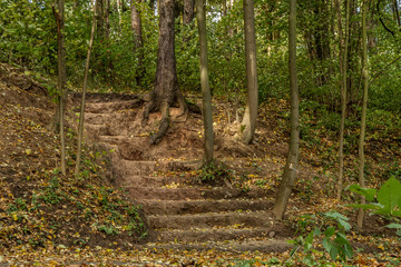 Stairs dug earth in autumn