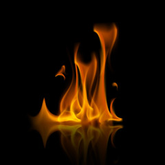 Yellow Orange Fire Flame Bonfire Isolated on Background