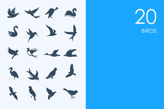 Set of BLUE HAMSTER Library birds icons