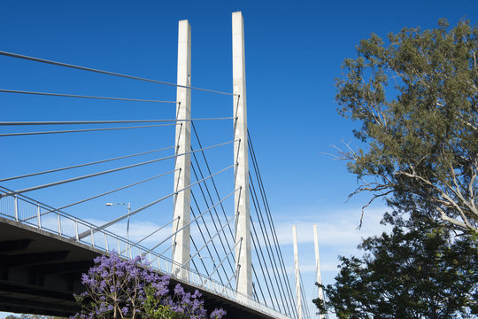 View of the Eleanor Schonell Bridge in Brisbane, Queensland during the afternoon.