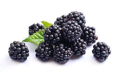 Blackberries fruit with leafs © margo555
