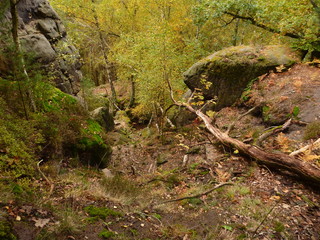 beautifull colorfull autumn in bohemian paradise