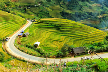 Obraz na płótnie Canvas Rice fields on terraced of Mu Cang Chai, YenBai, Vietnam. Rice fields prepare the harvest at Northwest Vietnam.Vietnam landscapes.