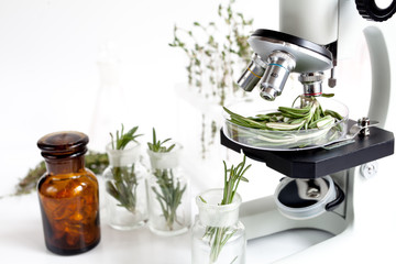 analysis of food pesticides check rosemary in laboratory