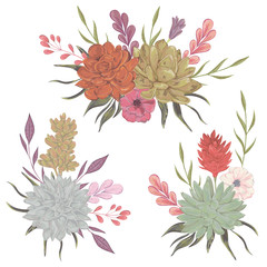 Collection decorative floral design elements for wedding invitations and birthday cards. Succulents, flowers and leaves. Isolated elements. Vintage hand drawn vector illustration in watercolor style.