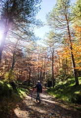 autumnal path with man walking