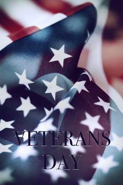 text veterans day and the flag of the US