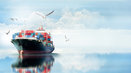 Logistics and transportation of International Container Cargo ship in the ocean with Group of Birds...