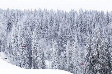 Landscape, mountain Jahorina