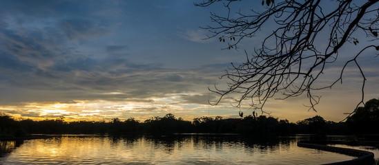 Fototapeta na wymiar Tree and sunset.