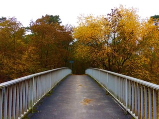 Fototapeta na wymiar Brücke im Herbst