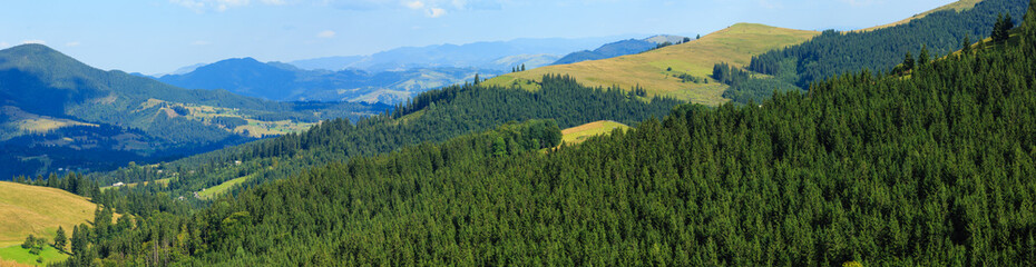 Summer Carpathian mountain (Ukraine).