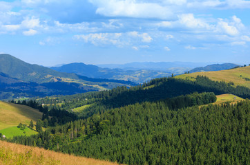 Fototapeta na wymiar Summer Carpathian mountain (Ukraine).