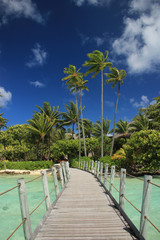 南の島の楽園タヒチ Tahiti Tropical paradise