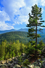 Summer mountain view (Carpathian, Ukraine).