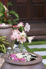 Fototapeta na wymiar Pink and white flowers float in a big jar in garden