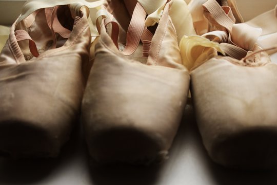 Canvas Pointe Shoes