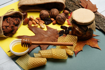 Autumn composition of nuts