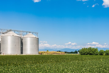 Soy field and agricultural silos