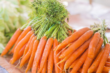 Carrots. Fresh organic carrots. Fresh garden carrots. 