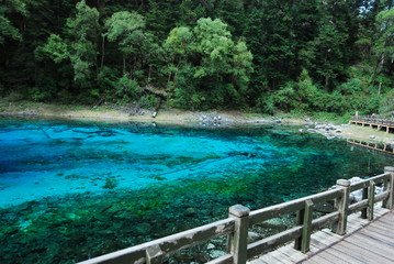 Colorful Pool Juzhaigou National Park Sichuan landscape and Bridge, China