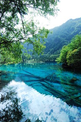 Colorful Pool Juzhaigou National Park Sichuan landscape and Bridge, China
