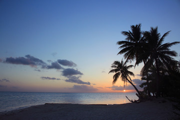 Fototapeta premium 南の島タヒチのビーチで夕日と夕焼け Sunset in Tahiti paradise