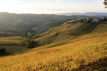 Naklejka premium Langa autunnale