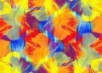 Fototapeta na wymiar Multi coloured abstract feathers background