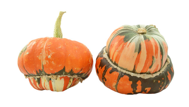 Two turban squash, one with stem, one showing striped gourd
