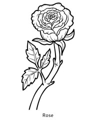Fototapeta na wymiar Coloring book, flower Rose
