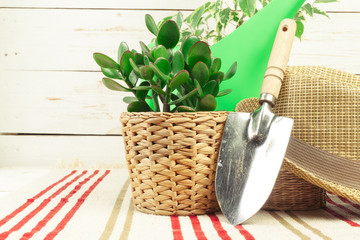 composition of garden tools