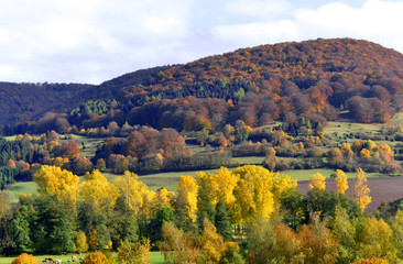 Herbst in der Rhön (Thüringen)