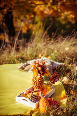 details and elements of autumn decoration outdoors