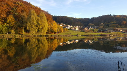 Fototapeta na wymiar Riedener Waldsee im Herbst