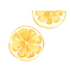Watercolor lemon slice. Hand drawn illustration, isolated on white