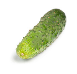One cucumber isolated
