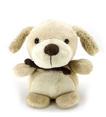Dog plush toy isolated on white