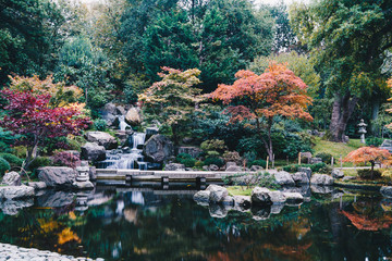 Autumn in Holland Park
