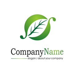 Fototapeta premium leaf vector logo