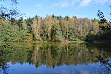 See im Herbstwald